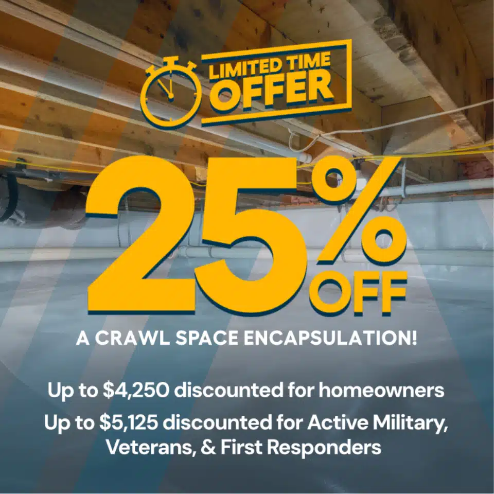 25% Off